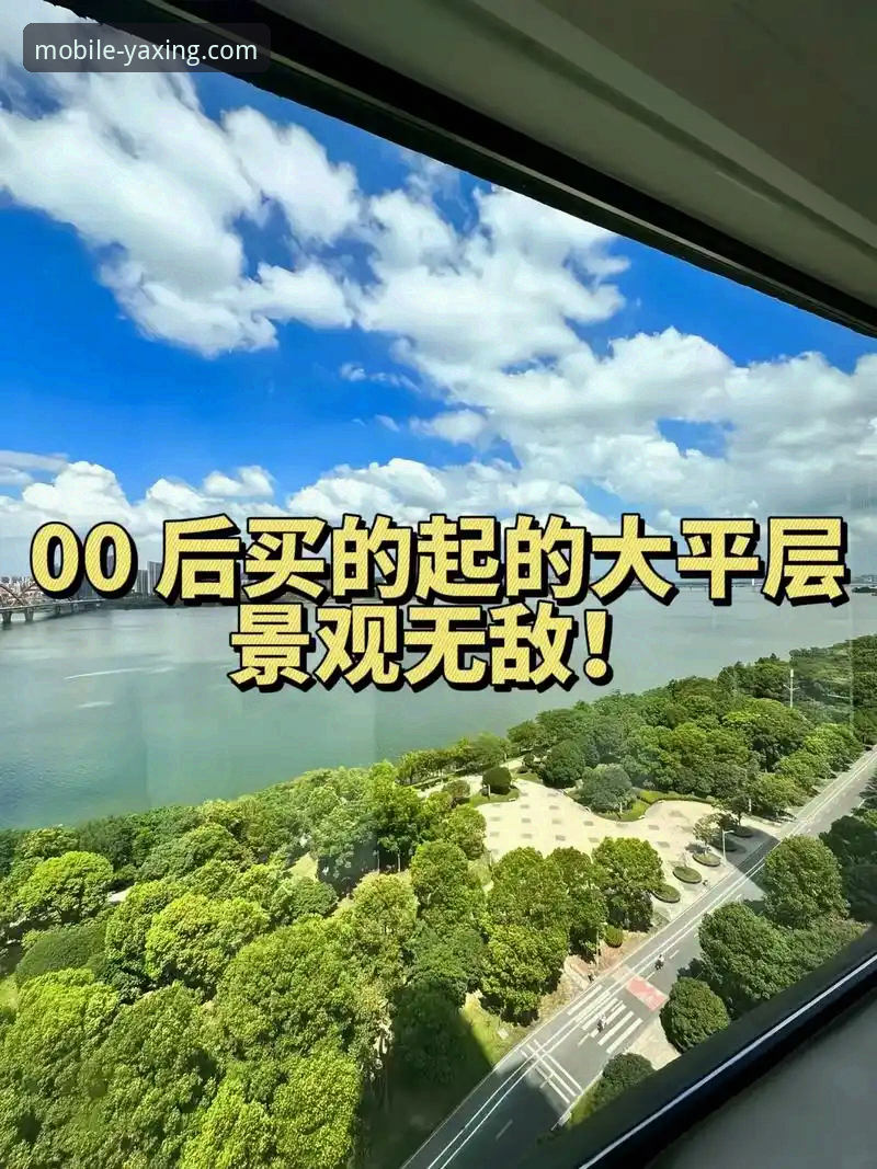 亚星体育平台：一站式移动体验深度评测报告