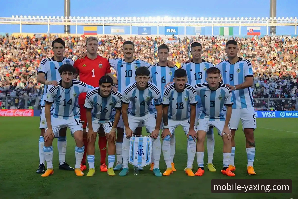 揭秘阿根廷世界杯征程背后的战术缺口与数字体育新体验