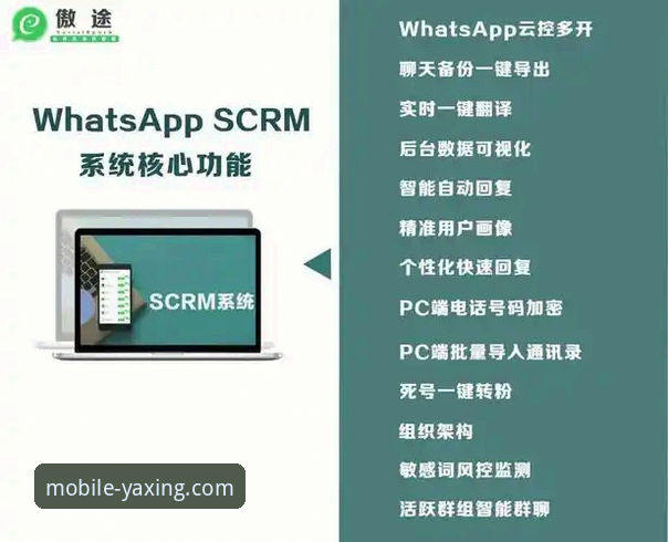 亚星APP最新版本更新与优化使用教程：资深用户带你玩转v2.1.3